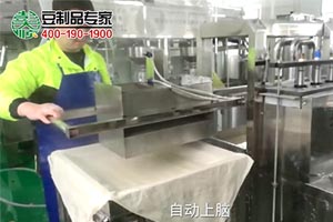 豆腐干生產線生產現(xiàn)場